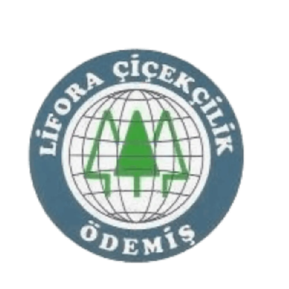 Lifora çiçekçilik logo