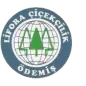Lifora Çiçekçilik Logo