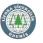 Lifora Çiçekçilik